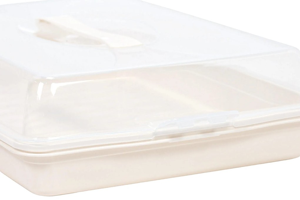 Przenośne pudełko na ciasto, 44 x 31 x 10 cm