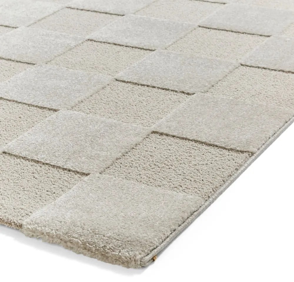 Jasnoszary dywan 200x290 cm Elio Silver – Think Rugs