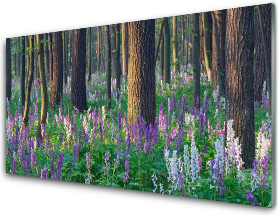 Panel Kuchenny Korony Leśnych Drzew