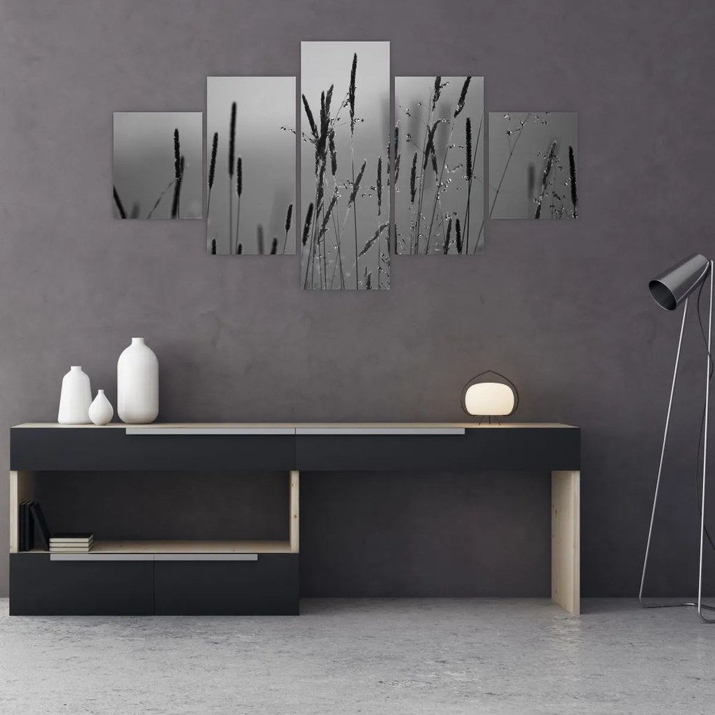 Obraz - źdźbła trawy (125x70 cm)
