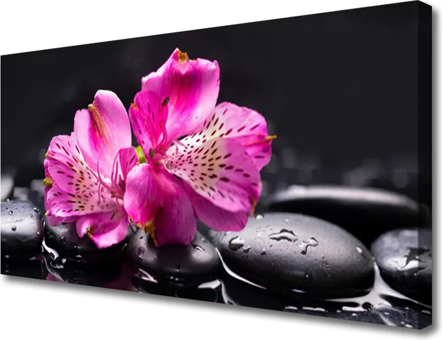 Obraz canvas Śnieżnobiały Storczyk w Detalu