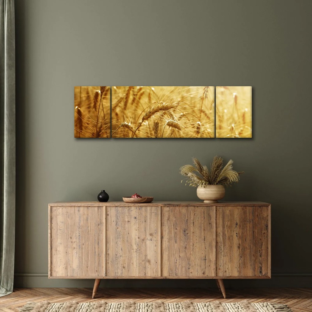 Obraz - Kłosy zboża (170x50 cm)