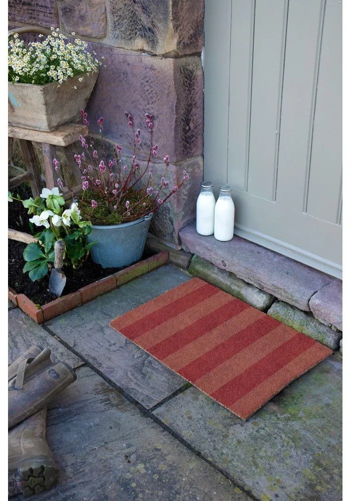Wycieraczka z włókna kokosowego 40x60 cm Pink Stripe – Artsy Doormats