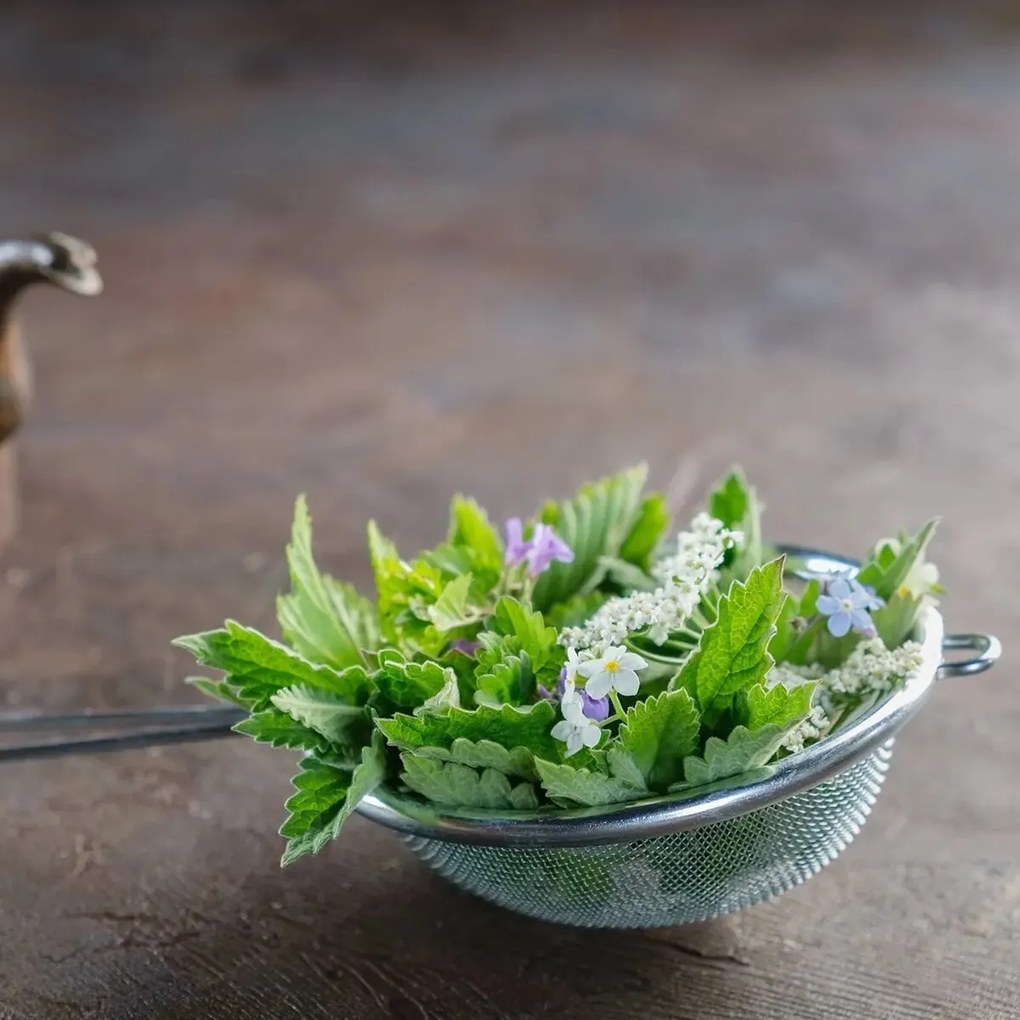 Orion Cedzak ze stali nierdzewnej, 10 cm, 10 cm