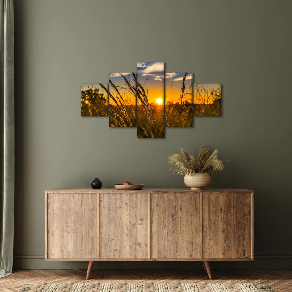 Obraz pola o zachodzie słońca (125x70 cm)