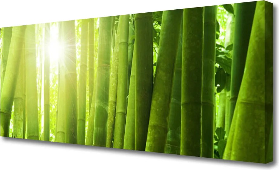 Obraz na płótnie Świeżość Zielonego Bambusa