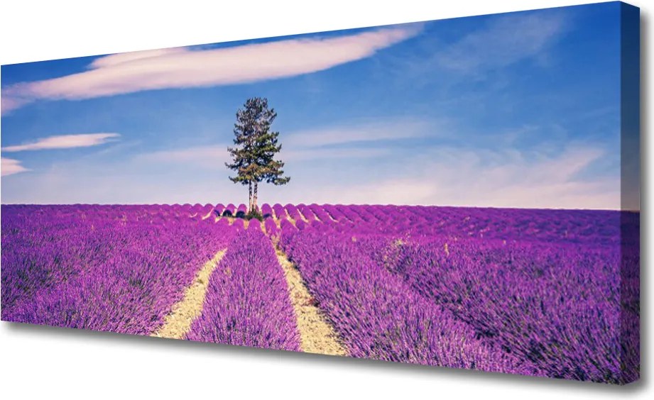 Fotoobraz na płótnie Lawendowe Pole pod Samotnym Drzewem