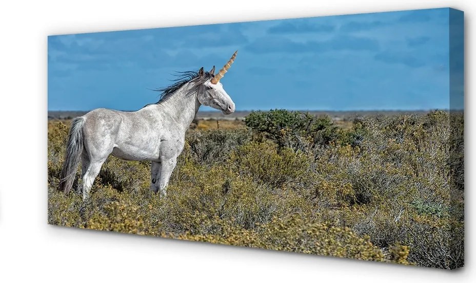 Obraz na płótnie Jednorożec na Zielonym Polu