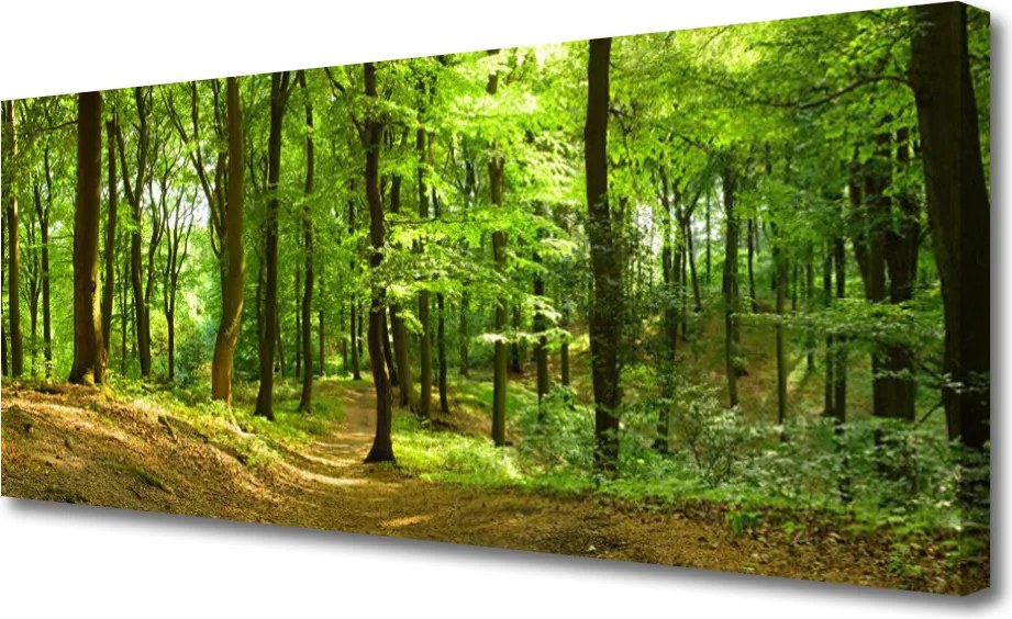 Zdjęcie na płótnie Ścieżka przez Dziki Las