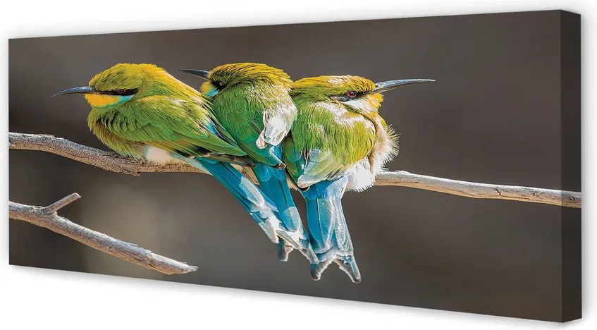 Zdjęcie na płótnie Dwa Ptaki na Gałęzi