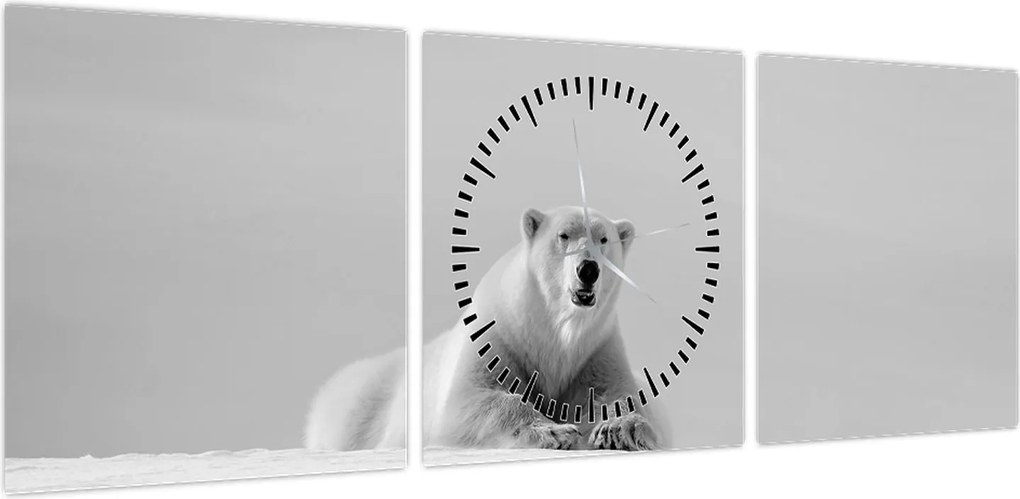 Obraz - Niedźwiedź polarny (z zegarem) (90x30 cm)