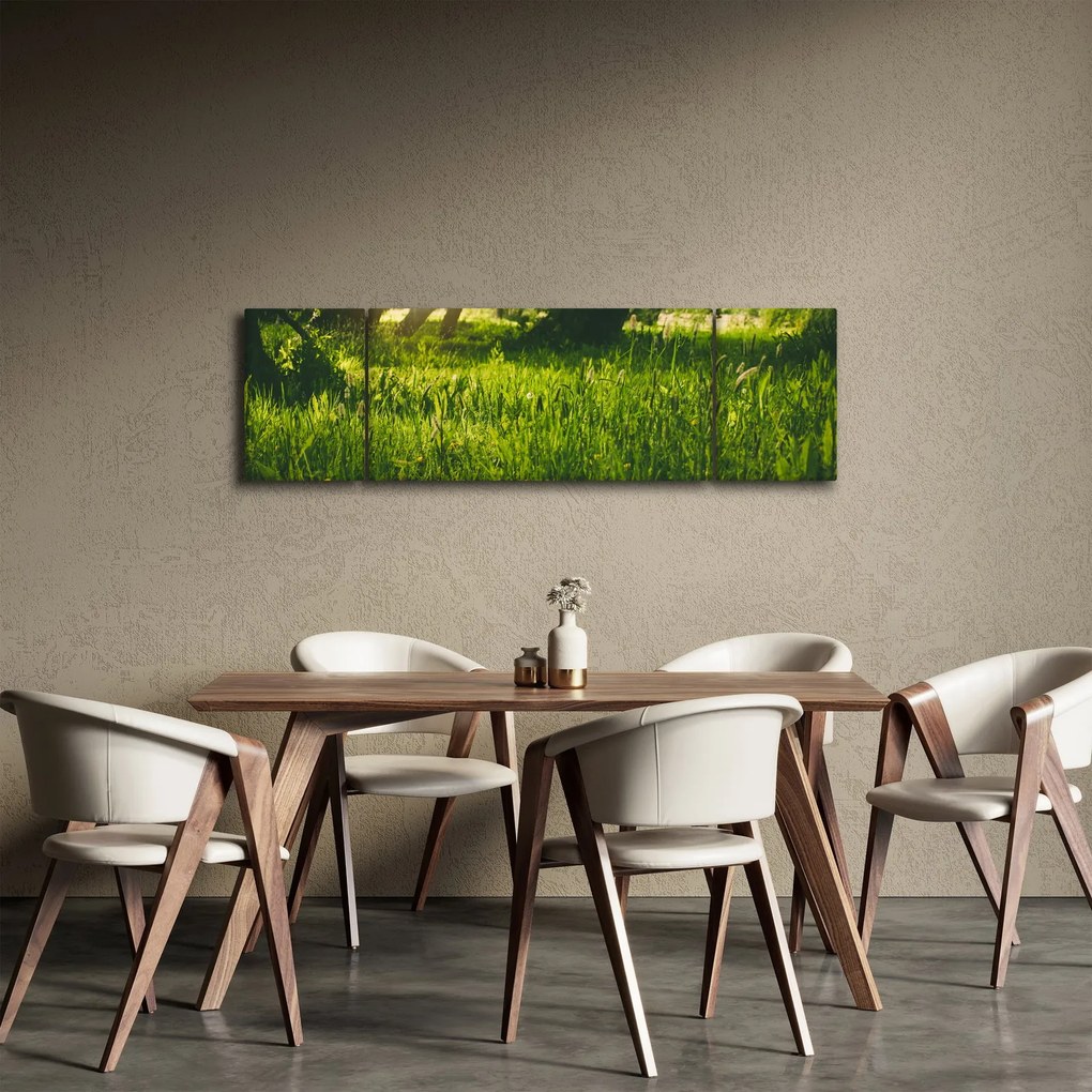 Obraz natury - łąka (170x50 cm)