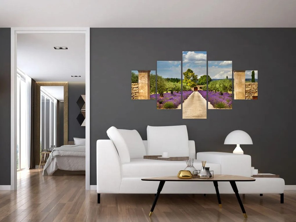 Obraz - Lawendowe ścieżki (125x70 cm)