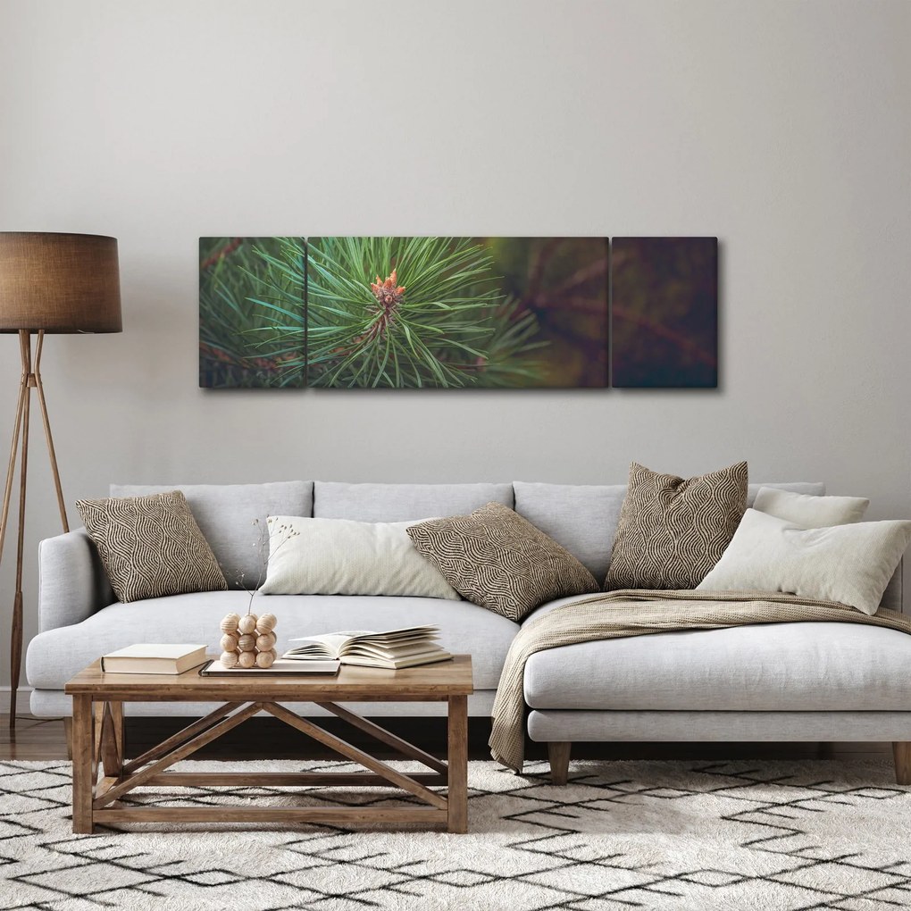 Obraz - Detal sosny (170x50 cm)