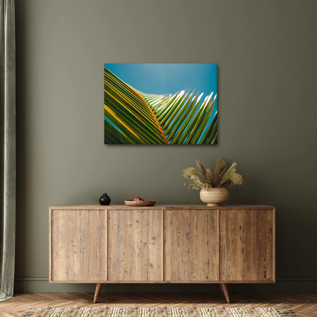 Obraz - Detal liścia palmowego (70x50 cm)