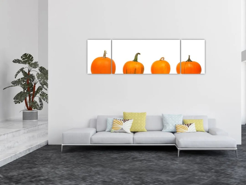 Obraz dyni (170x50 cm)