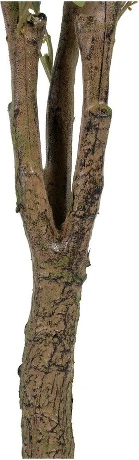 Sztuczny eukaliptus (wysokość 173 cm) Eucalyptus – Ixia