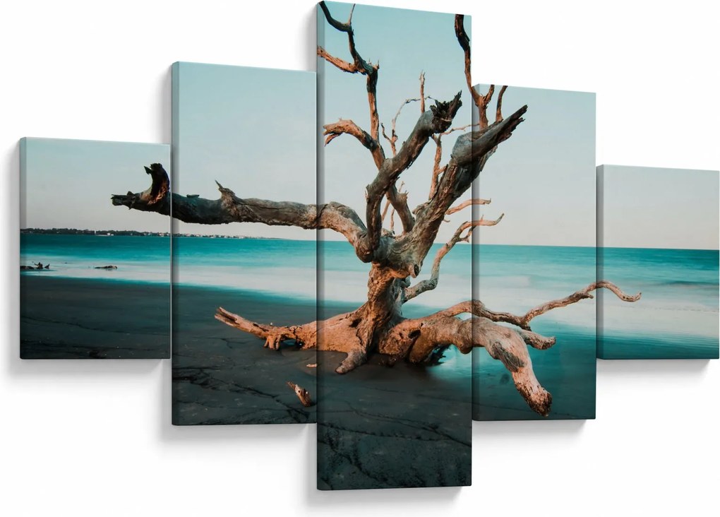 Obraz - Wyłowiono na plaży (125x70 cm)