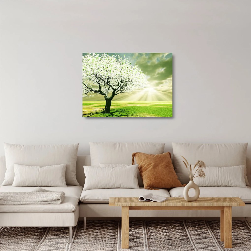 Obraz na szkle drzewa na łące (70x50 cm)