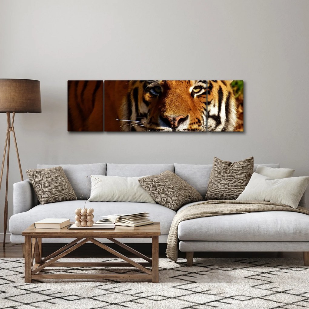 Obraz tygrysa (170x50 cm)