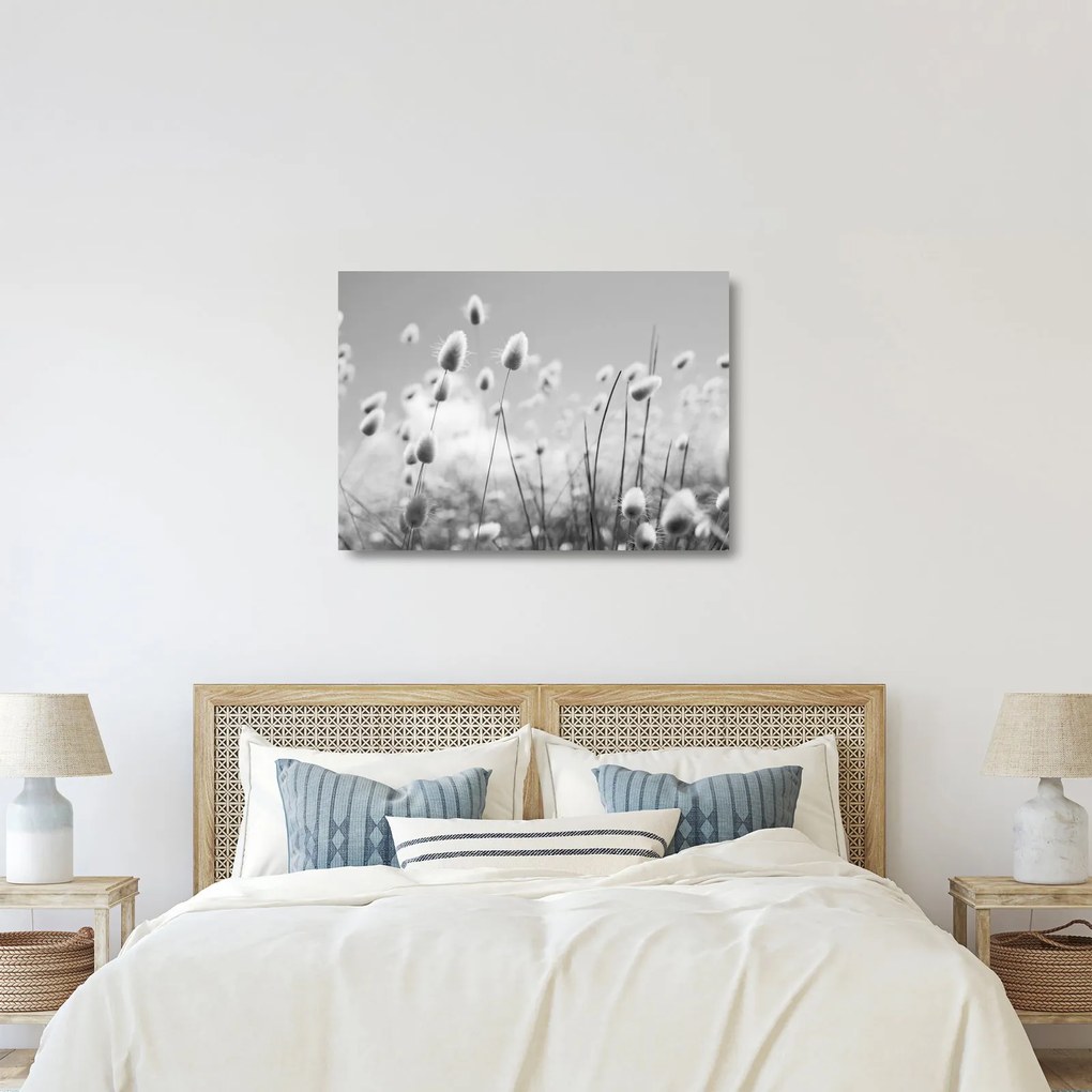 Obraz na szkle - Trawa z ogonkiem króliczka Boho (70x50 cm)