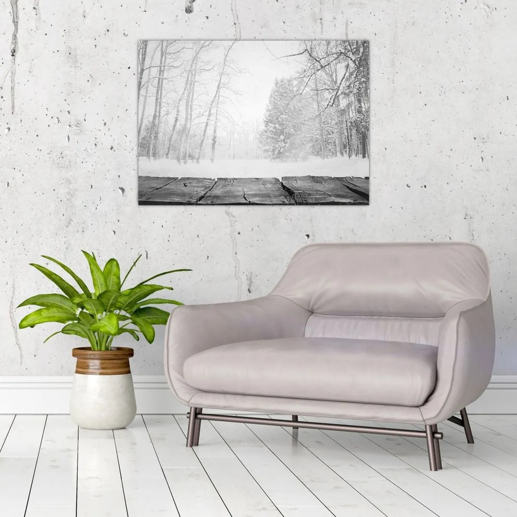 Obraz - Drewniane molo zimą (70x50 cm)