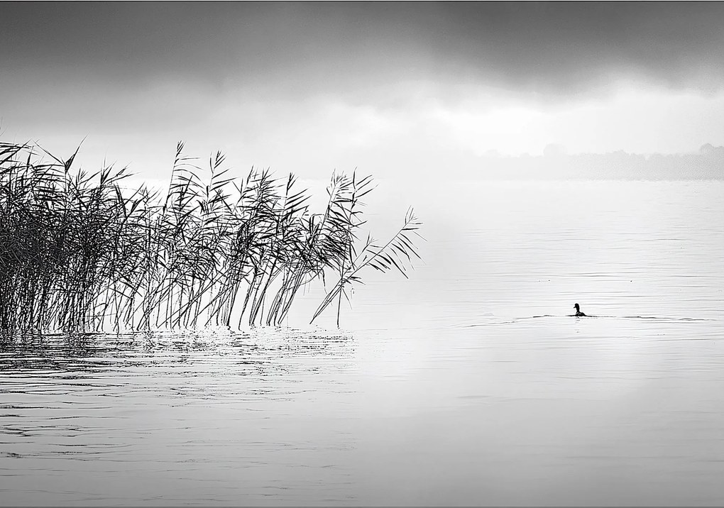 Obraz na płótnie By the Lake II