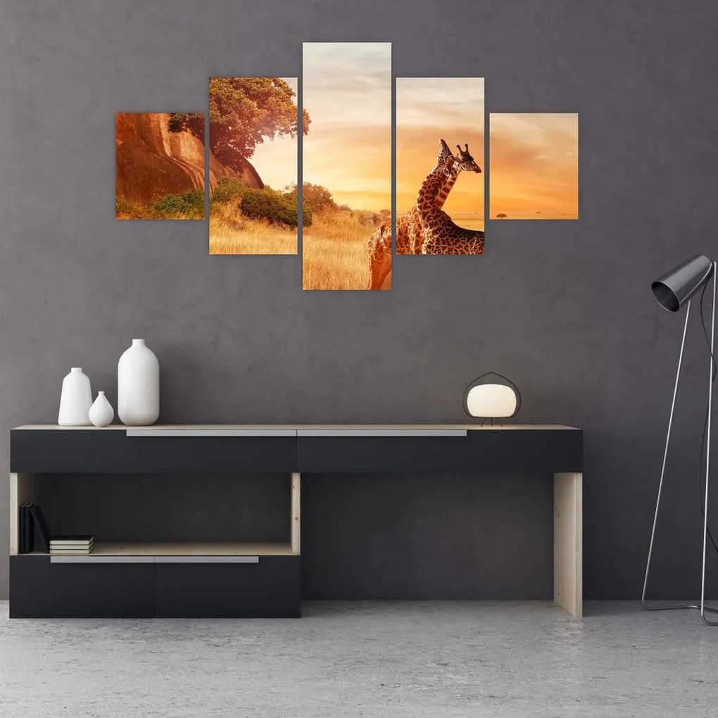 Obraz - Żyrafy w Afryce (125x70 cm)