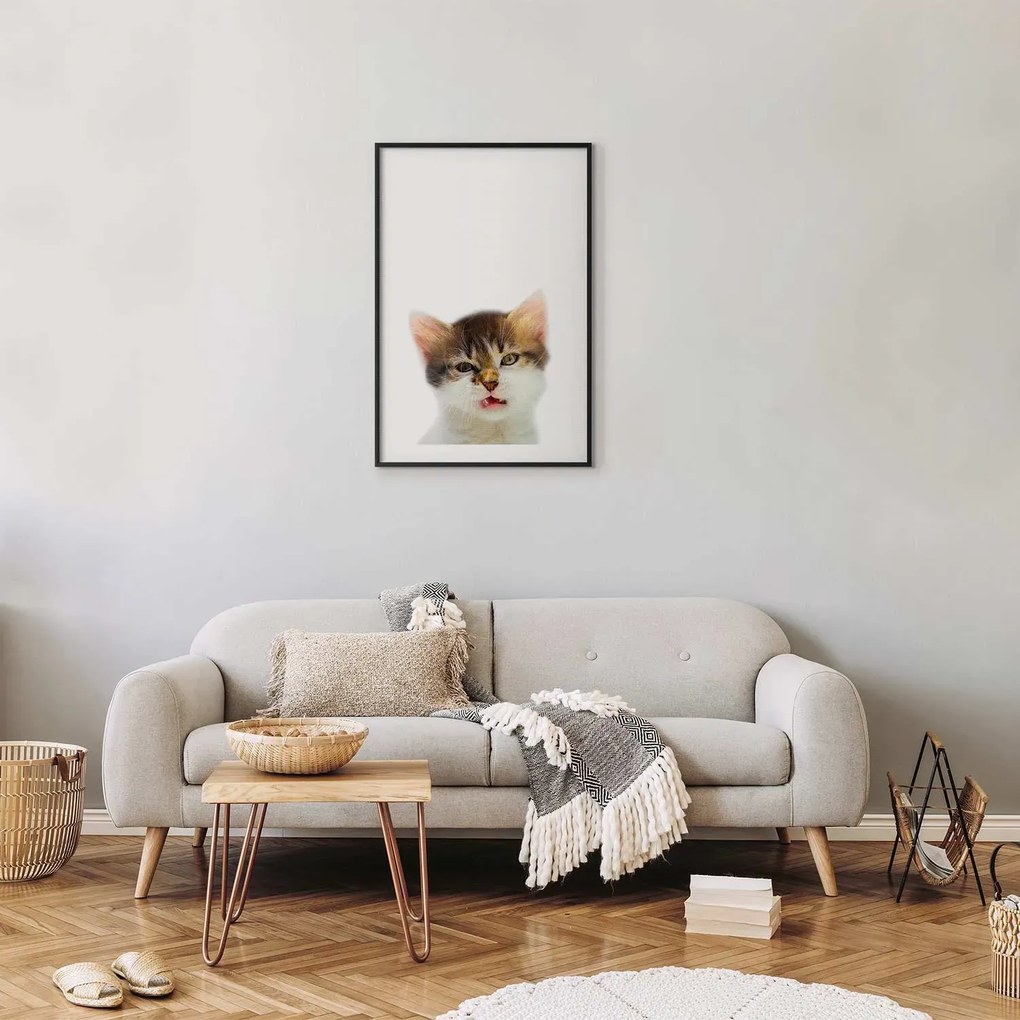 Plakat Zirytowany kot 40x60 cm z ramą czarną z marginesem ARTGEIST B