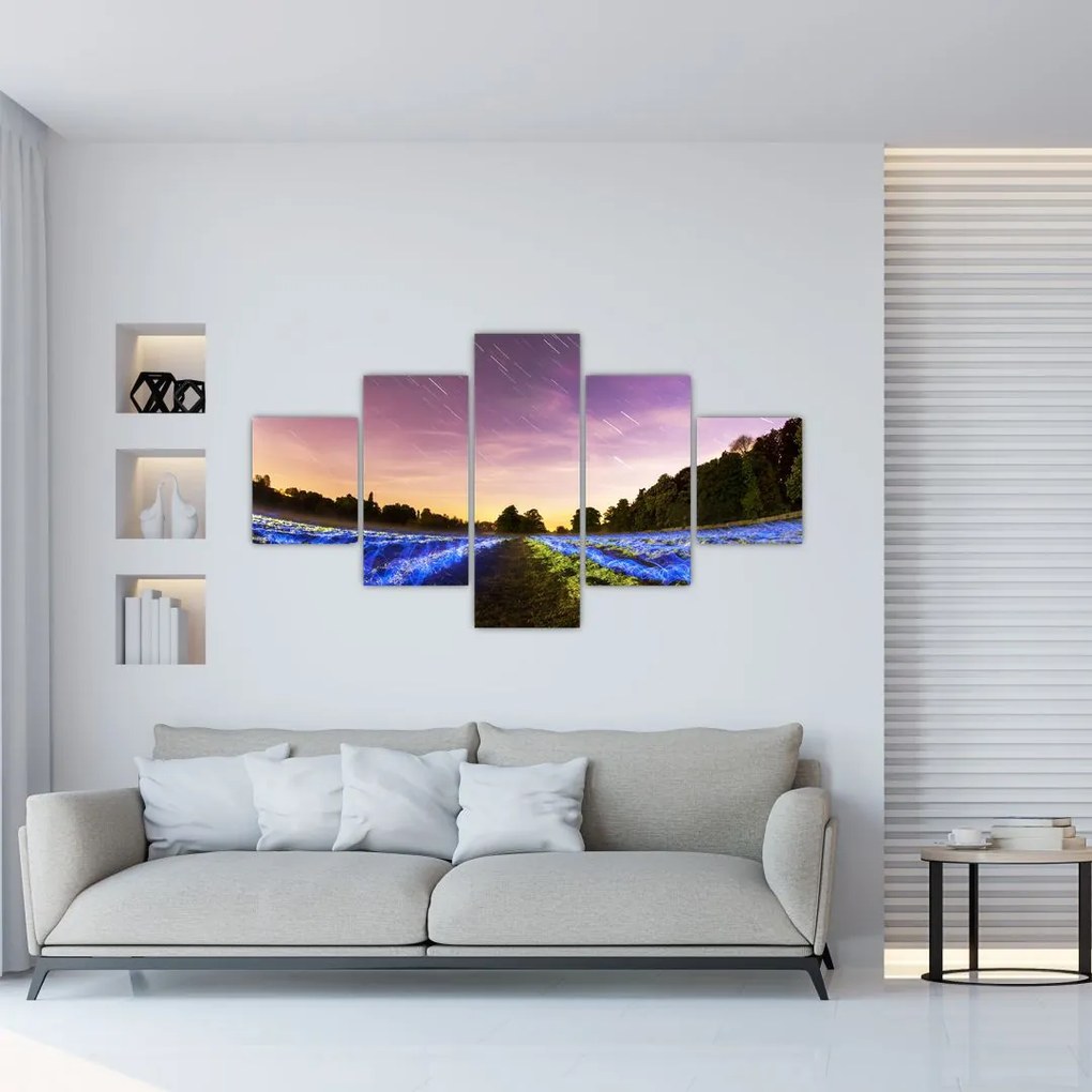 Obraz kolorowego pola (125x70 cm)
