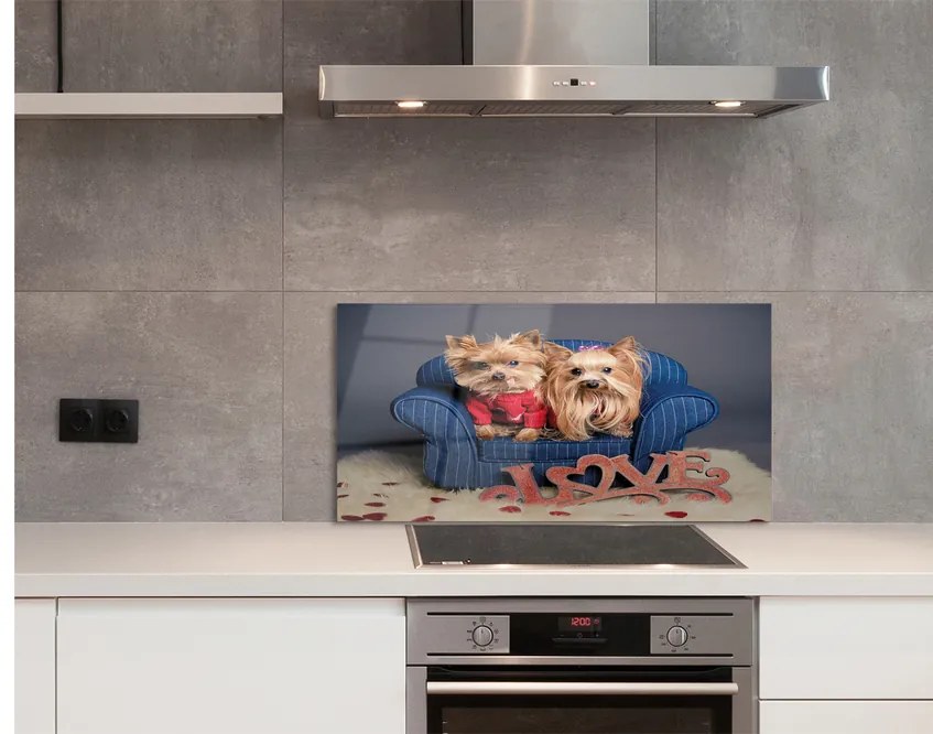 Szklany Panel Yorki
