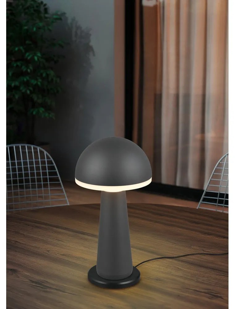 Lampa zewnętrzna ze ściemniaczem ø 16 cm Fungo – Trio