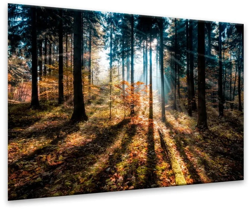 Obraz Styler Glasspik Autumn Sunset, 70x100 cm