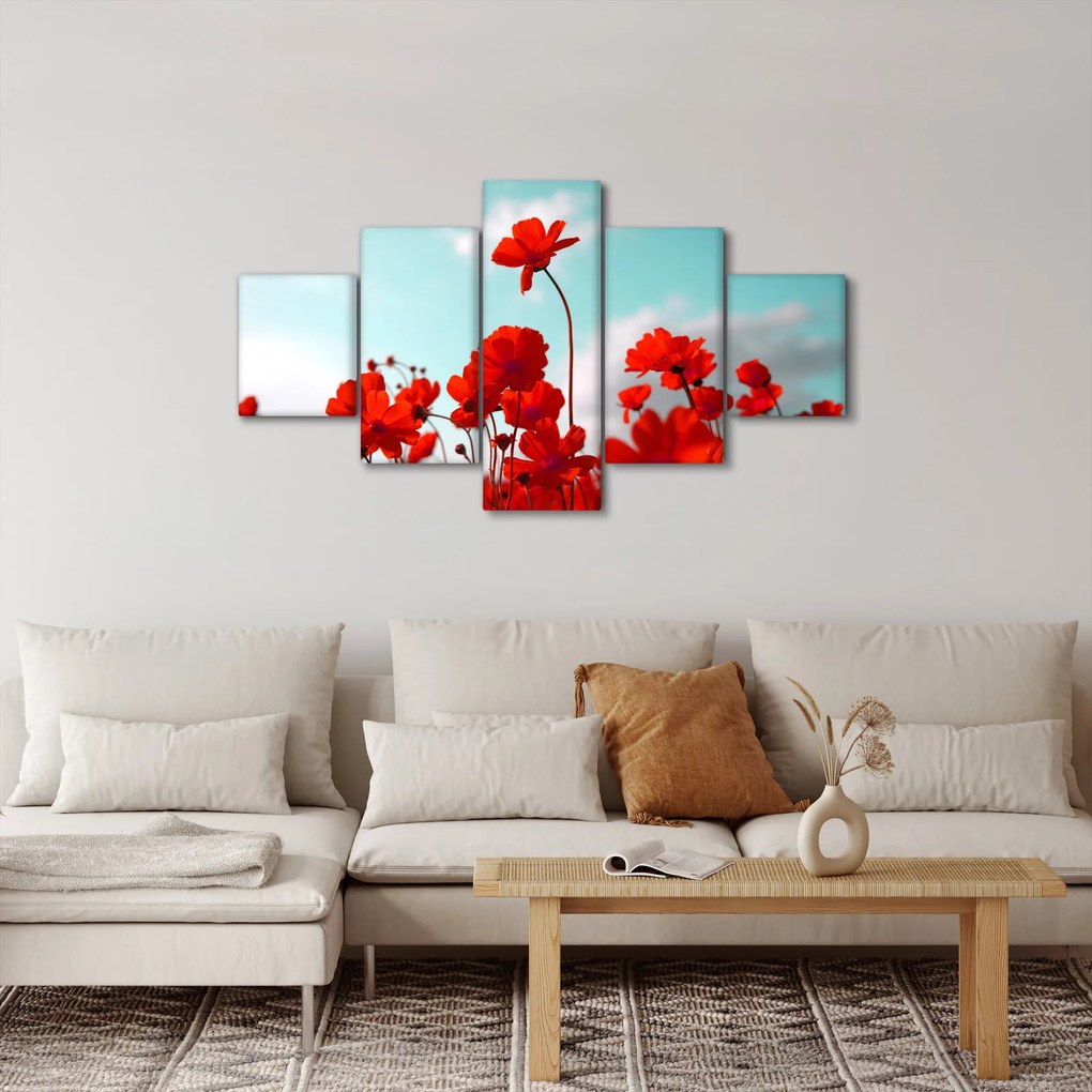Obraz pola z jasnoczerwonymi kwiatami (125x70 cm)