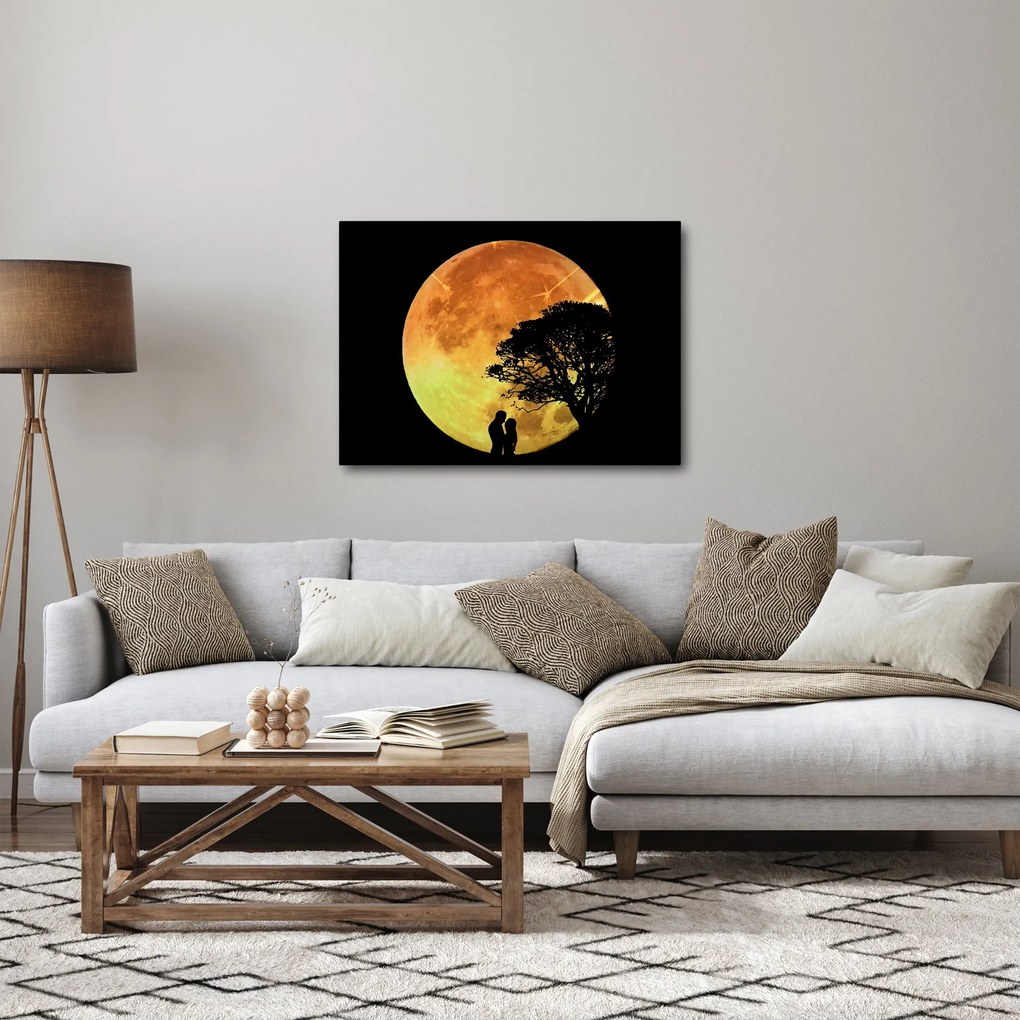 Obraz cieni w świetle księżyca (70x50 cm)