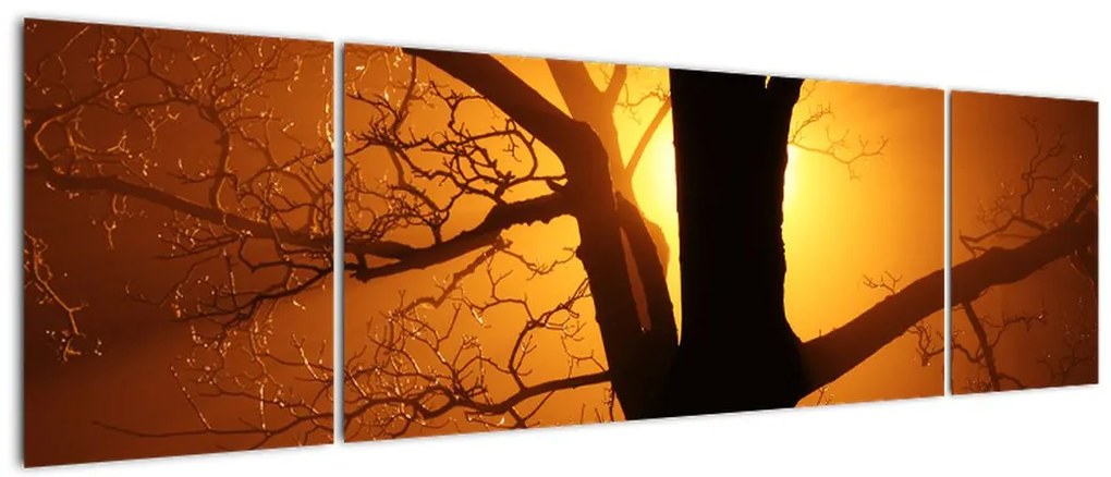 Obraz drzewa o zachodzie słońca (170x50 cm)