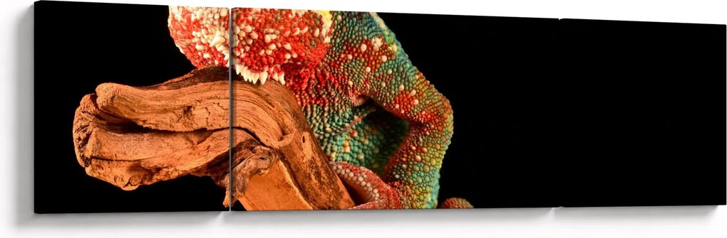 Obraz kameleona na gałęzi (170x50 cm)