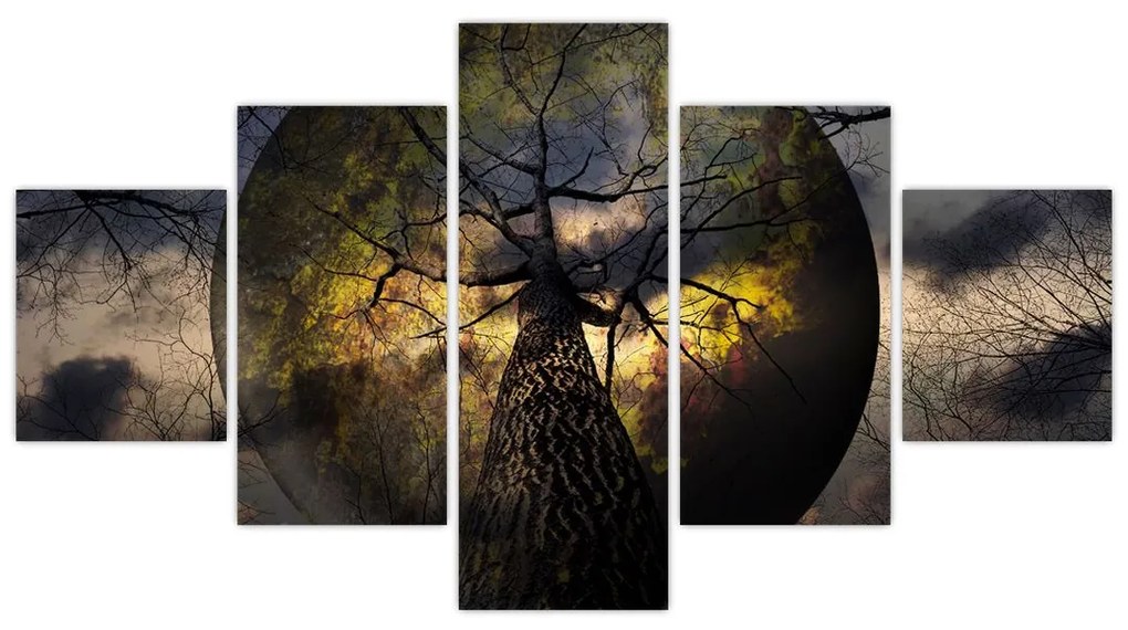 Obraz - Tajemnicze niebo (125x70 cm)