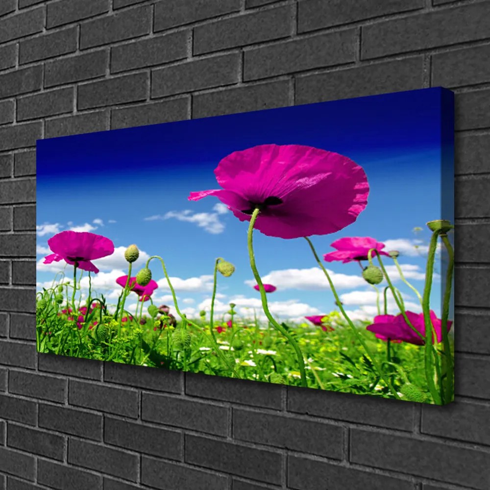 Obraz Canvas Łąka Kwiaty Niebo Przyroda