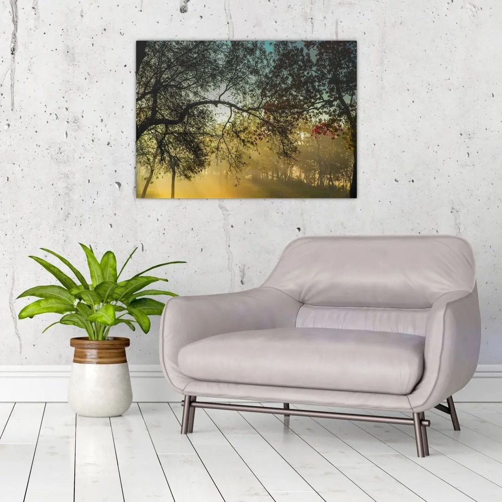 Obraz na szkle - wschód słońca (70x50 cm)