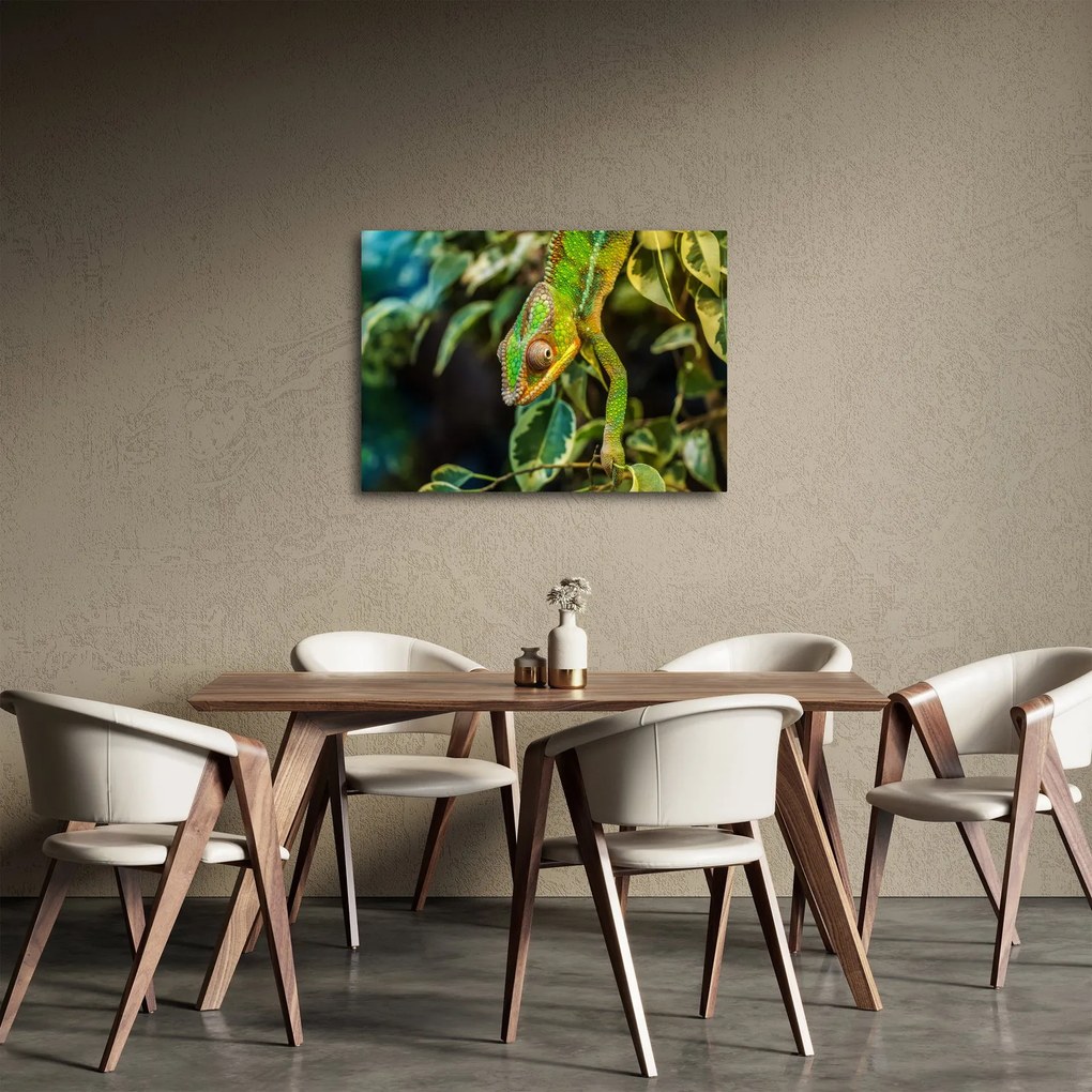 Obraz kameleona (70x50 cm)