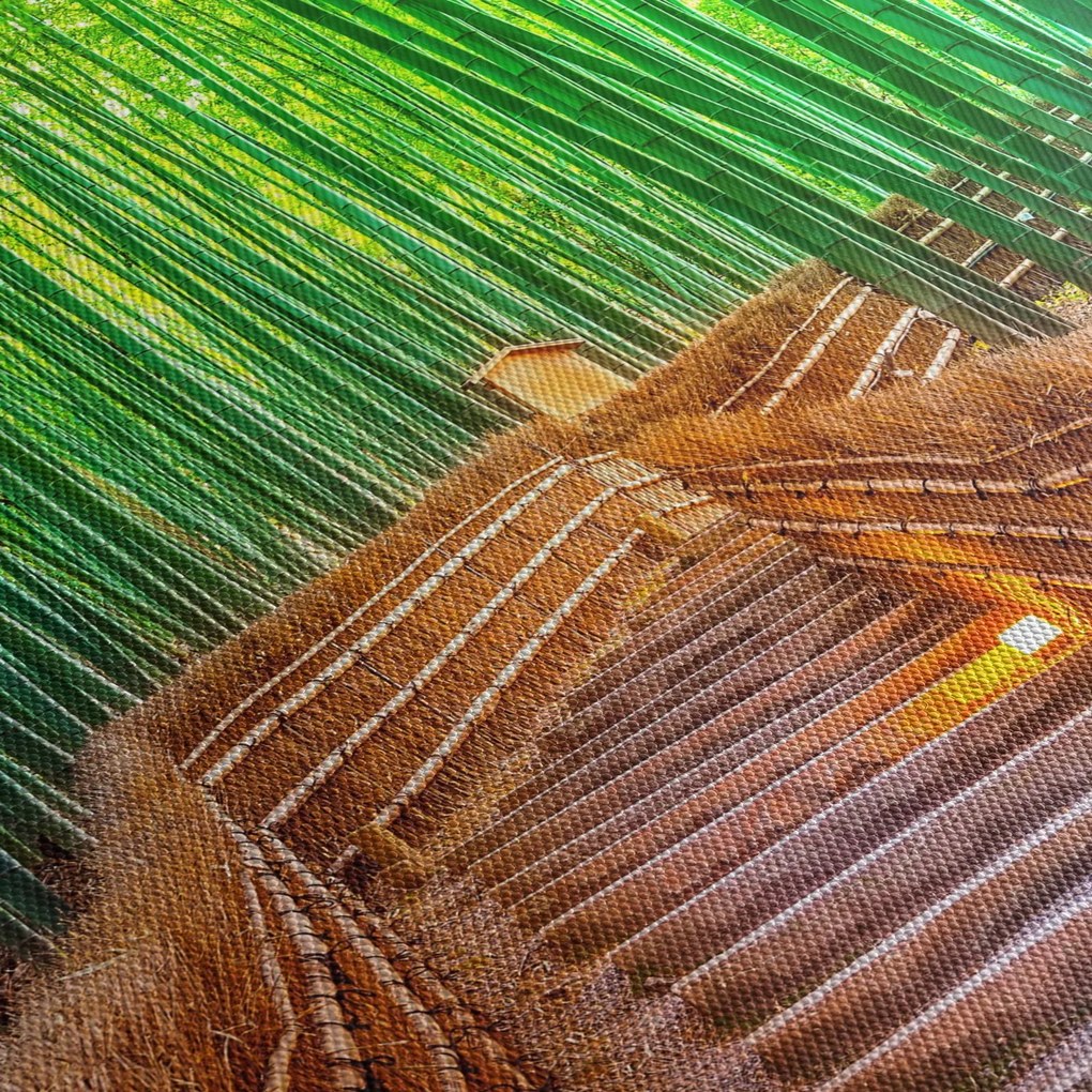 Obraz - Japoński las bambusowy (170x50 cm)