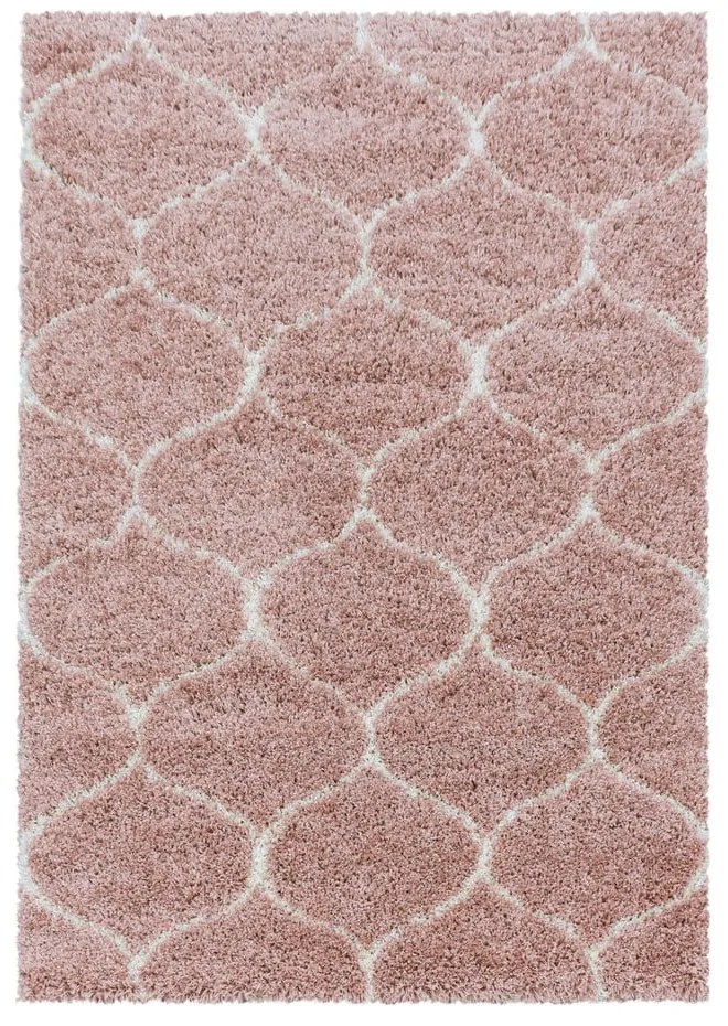Różowy dywan 80x150 cm Salsa – Ayyildiz Carpets