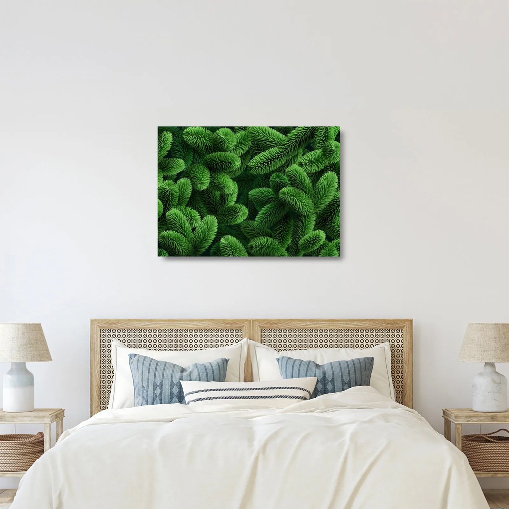 Obraz na szkle - Gałązki drzew iglastych (70x50 cm)