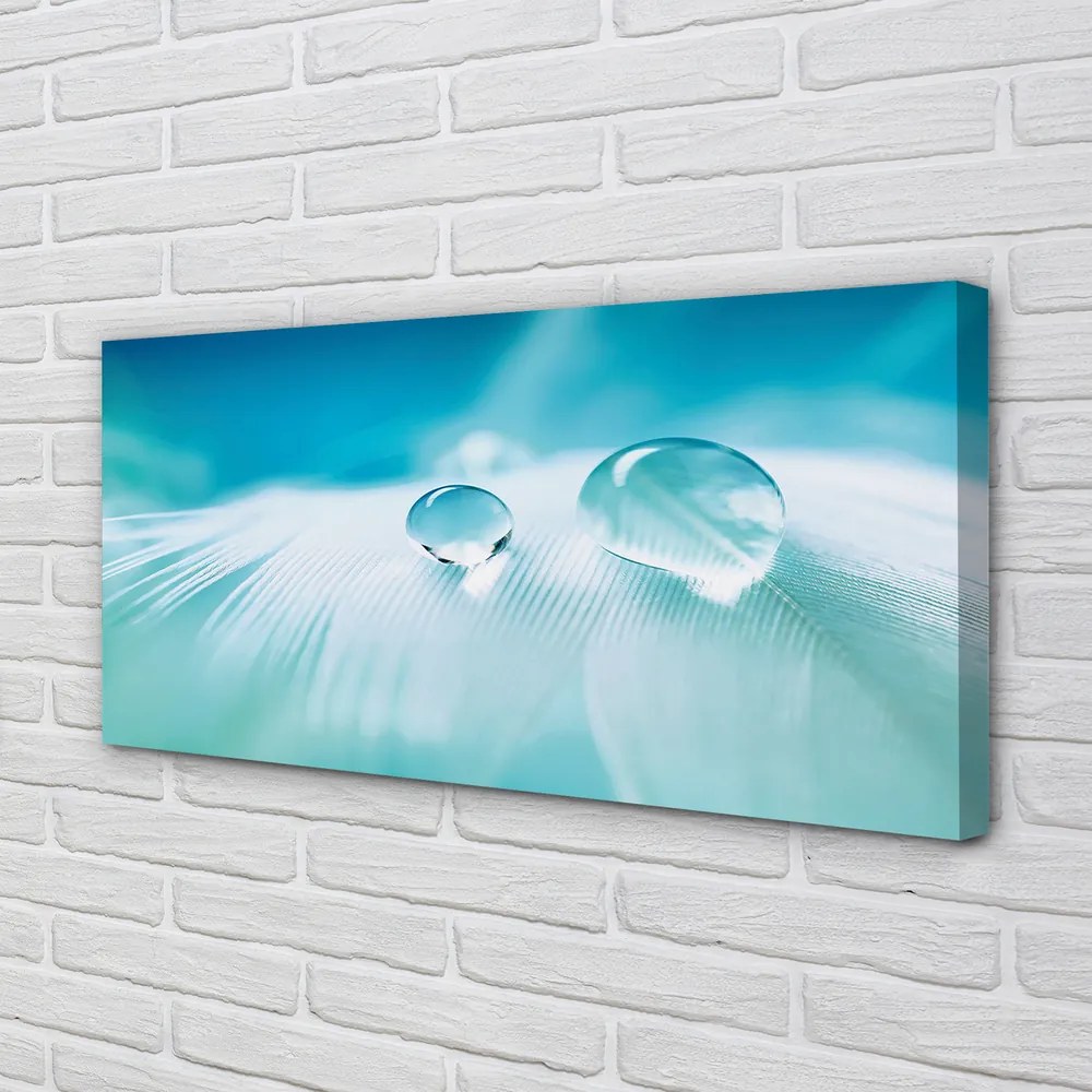 Obraz na płótnie Makrofotografia Kropli Wody