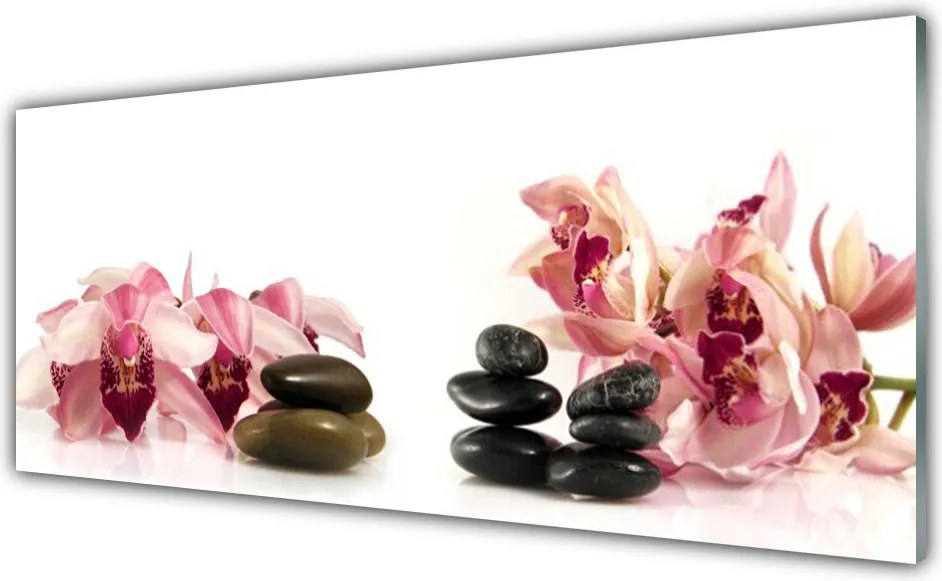 Panel Kuchenny Harmonijne Połączenie Zen