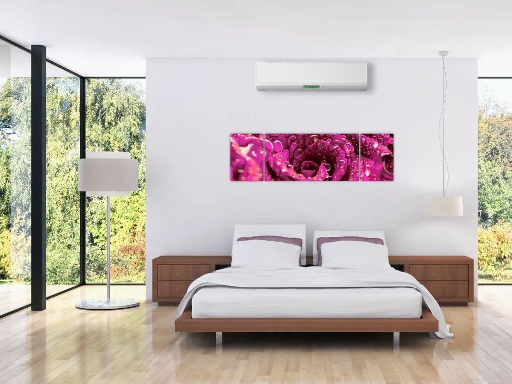 Obraz różowego kwiatu róży (170x50 cm)