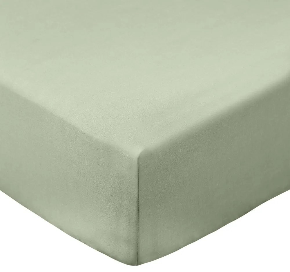 Zielone prześcieradło z perkalu bawełnianego z gumką 90x190 cm Cotton Percale – Bianca