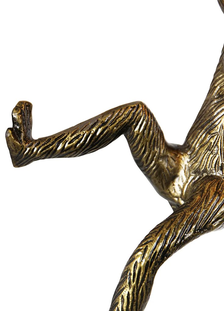 Złota ścienna lampa małpa - Animal Monkey klasyczny/Antyczny Oswietlenie wewnetrzne