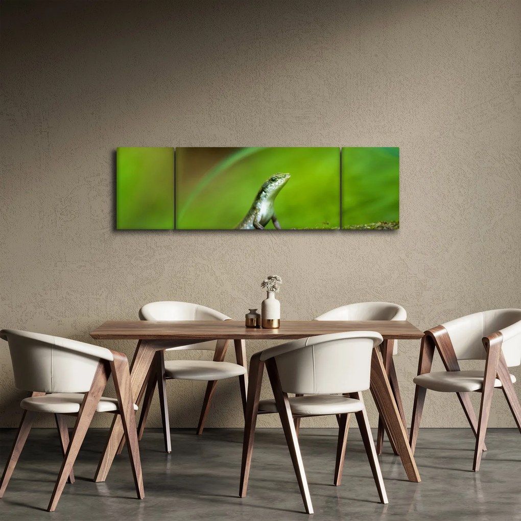 Obraz jaszczurki (170x50 cm)